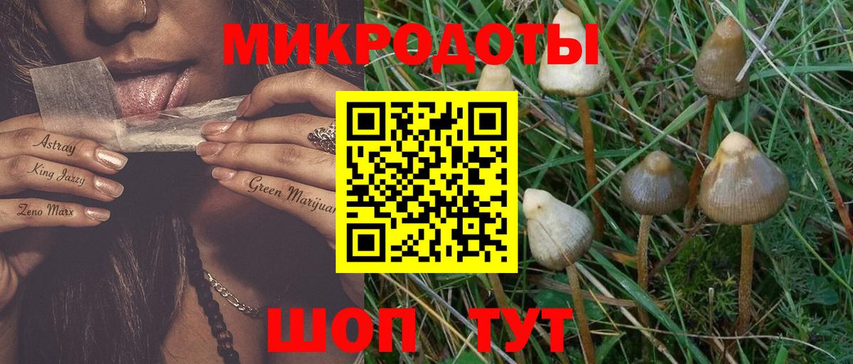 Псилоцибиновые грибы MAGIC MUSHROOMS  Вход с VPN  Псилоцибиновые грибы Magic Shrooms  Норильск 